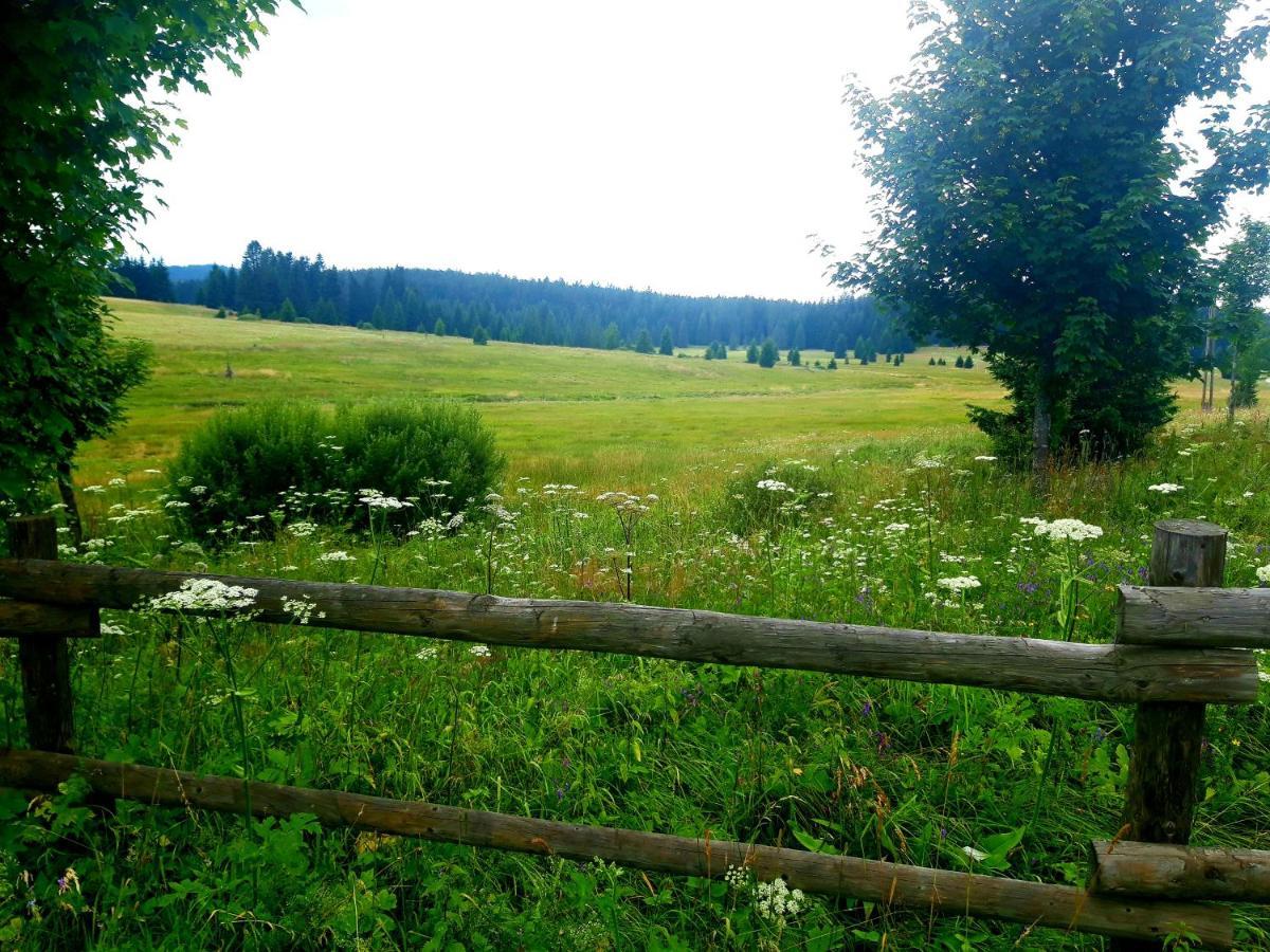#Apt23 - Apartman 23 - Novohradske Hory Benesov nad Cernou Exteriér fotografie